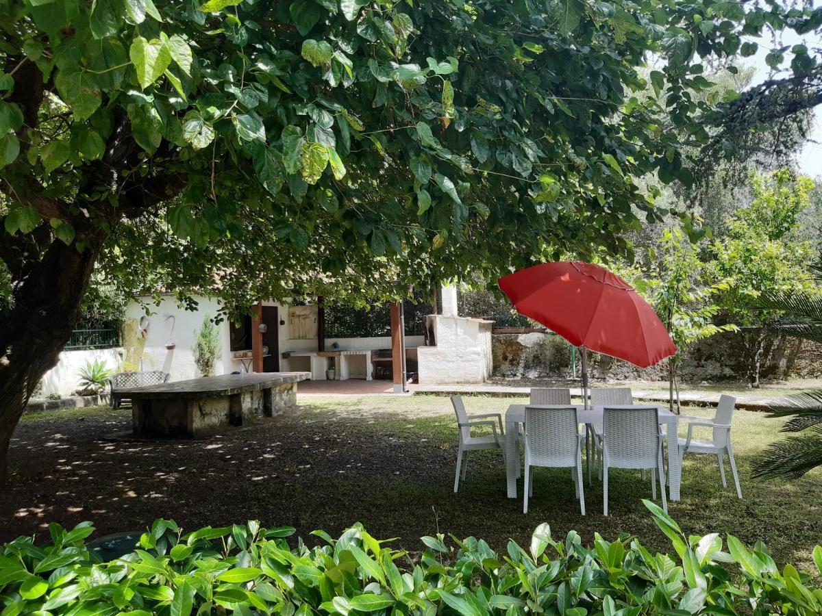 Villa Livia Villammare Εξωτερικό φωτογραφία